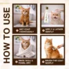 cat shampoo how to use steps apply rinse dry routine