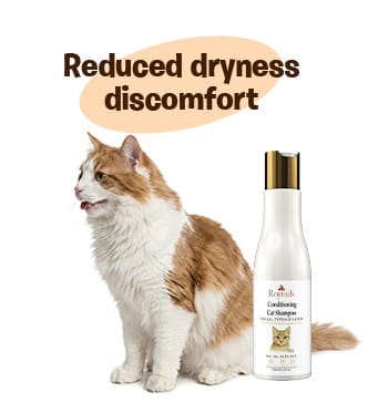 RayTails Cat Shampoo for Itching, Hair Fall, Shedding & Odor Control for Cats & Kittens for dogs & cats | RayTails