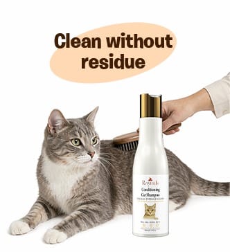 RayTails Cat Shampoo for Itching, Hair Fall, Shedding & Odor Control for Cats & Kittens for dogs & cats | RayTails