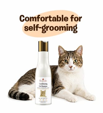 RayTails Cat Shampoo for Itching, Hair Fall, Shedding & Odor Control for Cats & Kittens for dogs & cats | RayTails