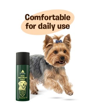 Comfortable dog deodorant spray for daily use and grooming