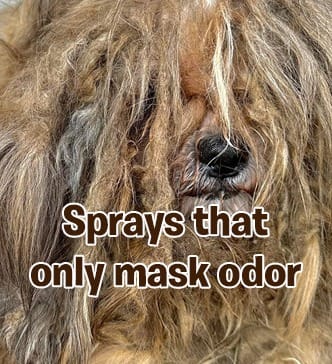 Dog perfume spray that only masks odor instead of controlling bad smell