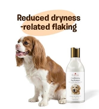Reduced dandruff and flaking with pH balanced dog shampoo