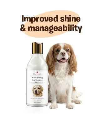 Shiny manageable dog coat after bathing with conditioning dog shampoo