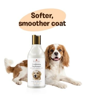 Dog with softer smoother coat after using RayTails Dog Shampoo