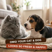 dry bath freshness result clean happy cat and dog