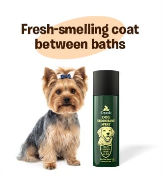 Dog deodorant spray for fresh smelling coat between baths