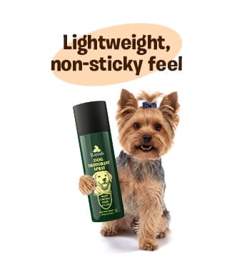 Lightweight non sticky dog body spray for dogs and puppies