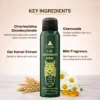 cat deodorant with natural ingredients for gentle skin care