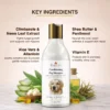 dog shampoo with natural ingredients aloe vera oats vitamin care
