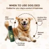 dog deodorant when to use for daily hygiene and odor control