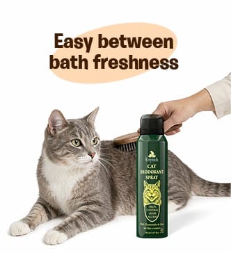 RayTails Cat Deodorant Spray & Pet Perfume for Cats & Kittens | Odor Control & Long-Lasting Freshness | RayTails Cat deodorant spray for between bath freshness and odor control