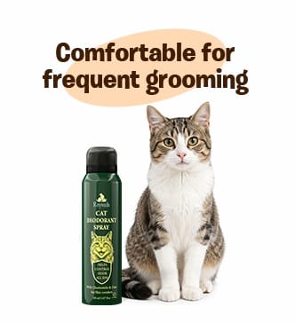 RayTails Cat Deodorant Spray & Pet Perfume for Cats & Kittens | Odor Control & Long-Lasting Freshness | RayTails Daily use cat grooming and deodorant spray