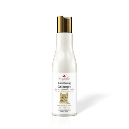 How to Use Cat Shampoo Properly | RayTails Grooming Guide