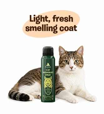 RayTails Cat Deodorant Spray & Pet Perfume for Cats & Kittens | Odor Control & Long-Lasting Freshness | RayTails Dog deodorant spray for fresh smelling coat