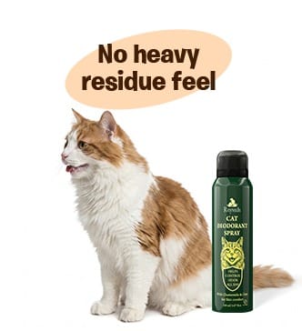 RayTails Cat Deodorant Spray & Pet Perfume for Cats & Kittens | Odor Control & Long-Lasting Freshness | RayTails Low residue dog hygiene deodorant spray