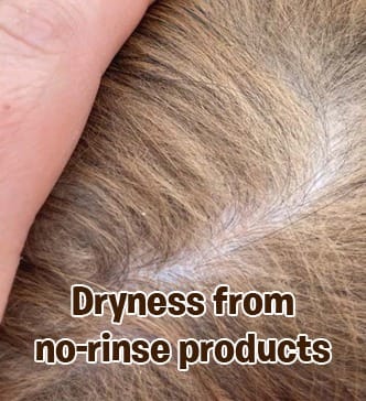 RayTails Waterless Dog Shampoo | Dry Bath Spray for Dogs, Puppies & Odor Control | RayTails Hydrating no-rinse pet shampoo for dogs and cats with soft coat support