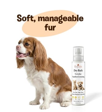 RayTails Waterless Dog Shampoo | Dry Bath Spray for Dogs, Puppies & Odor Control | RayTails Waterless pet grooming for soft manageable fur
