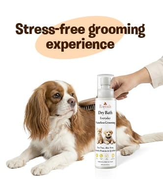 RayTails Waterless Dog Shampoo | Dry Bath Spray for Dogs, Puppies & Odor Control | RayTails Pet grooming spray designed for stress-free cleaning