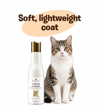 RayTails Cat Shampoo for Itching, Hair Fall, Shedding & Odor Control for Cats & Kittens for dogs & cats | RayTails