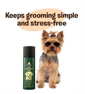 Dog grooming spray that keeps grooming simple and stress free