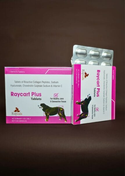 Raycart Plus Tablets -(1*15) Tablets