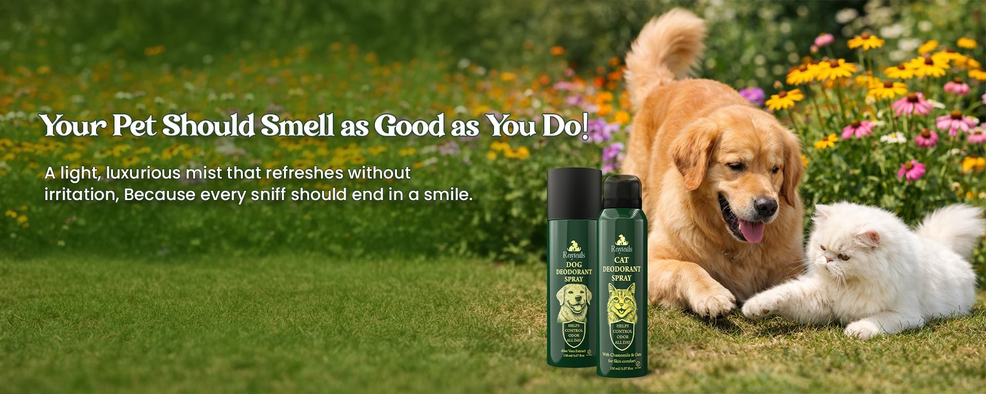 dog cat deodorant spray odor control pet perfume grooming spray for fresh coat