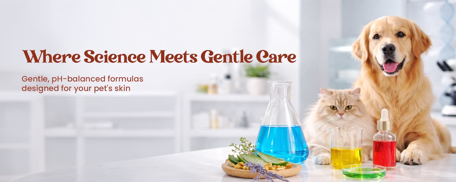 vet recommended pet hygiene products dog cat grooming shampoo deodorant safe daily care