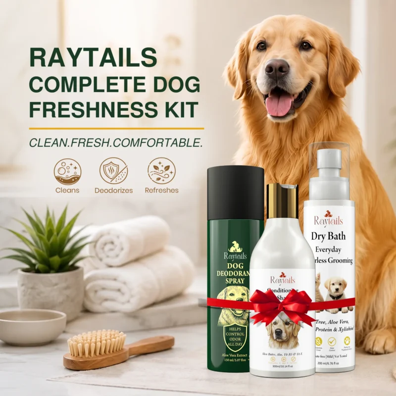 Home for dogs & cats | RayTails