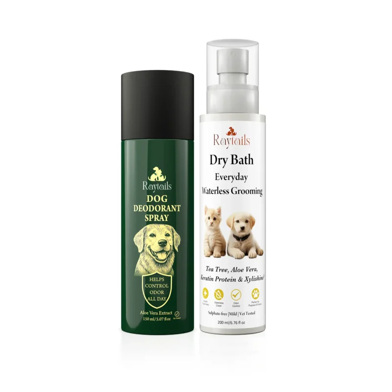 Home for dogs & cats | RayTails