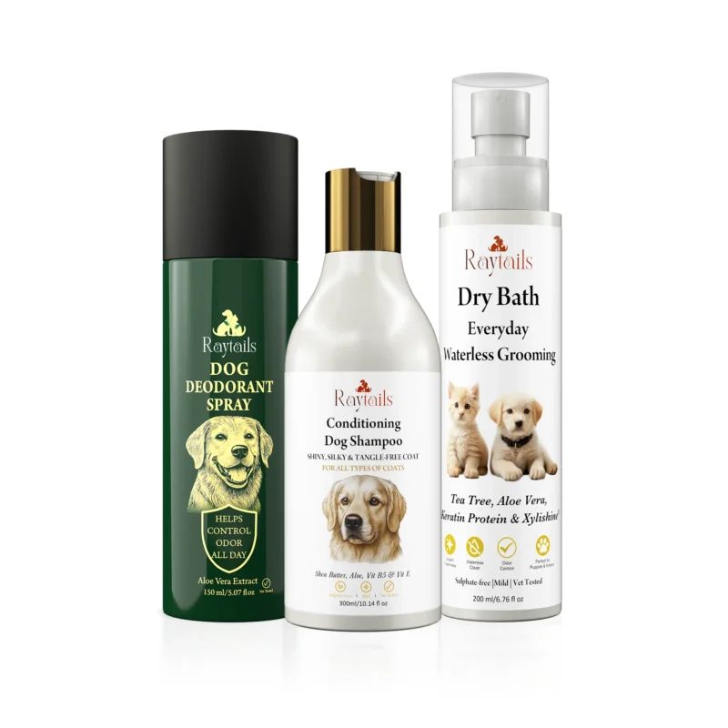 Home for dogs & cats | RayTails