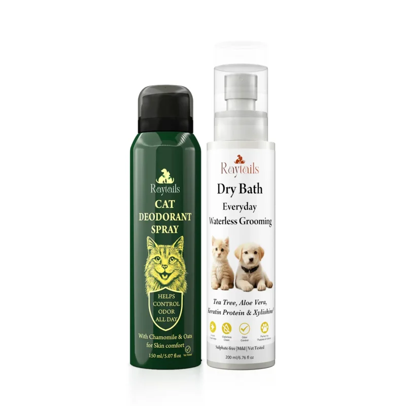 Home for dogs & cats | RayTails