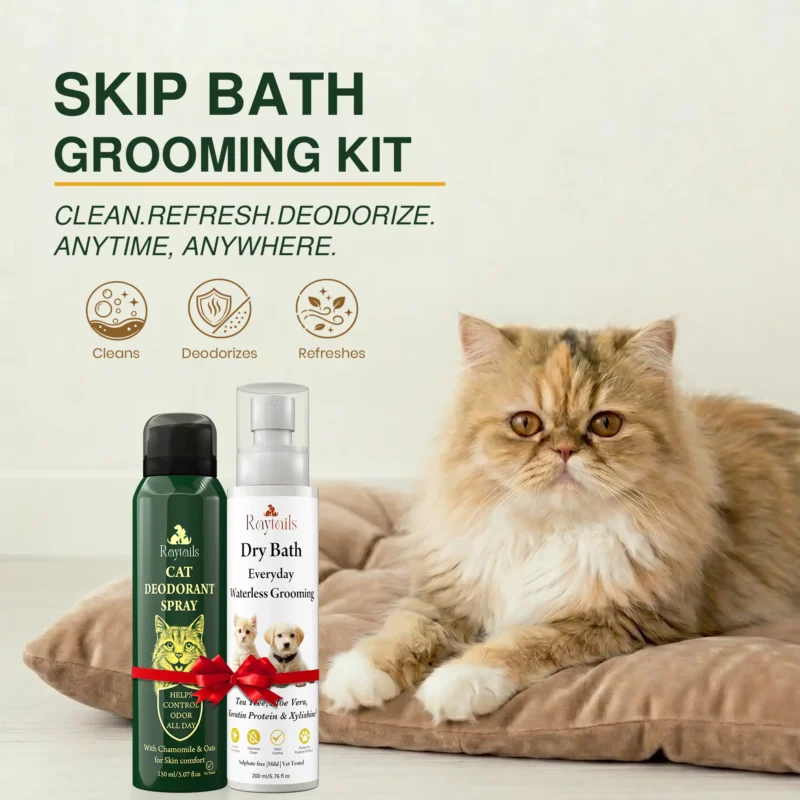 Home for dogs & cats | RayTails