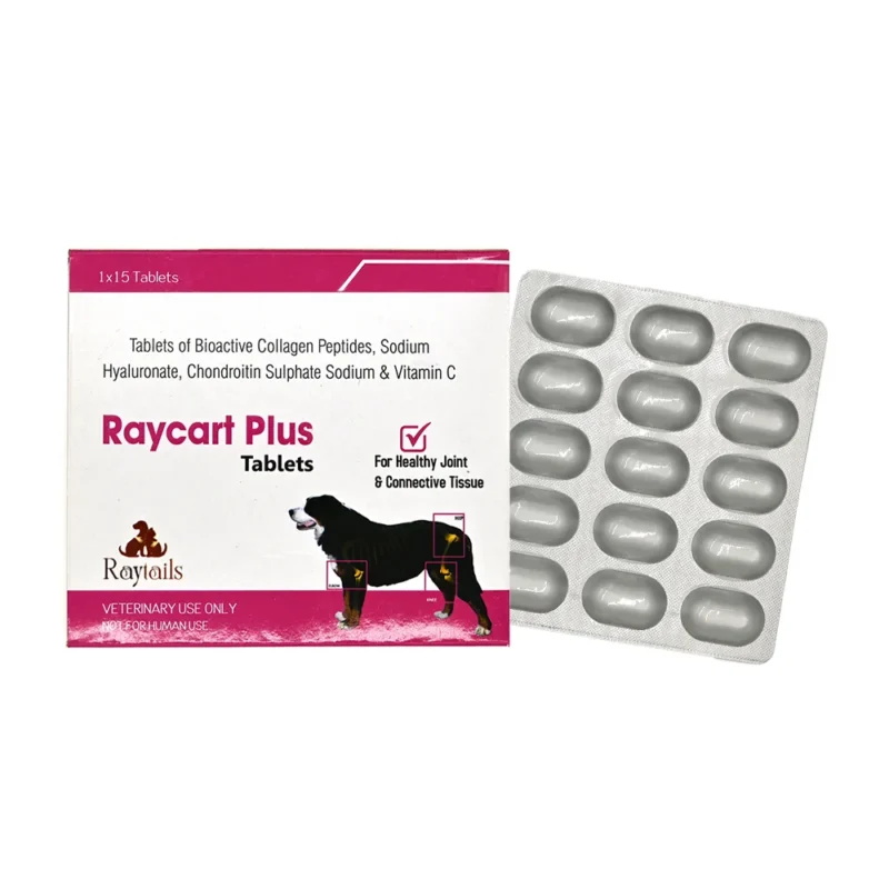 Home for dogs & cats | RayTails