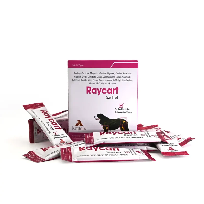 Home for dogs & cats | RayTails