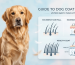 how to reduce dog hair fall naturally grooming guide